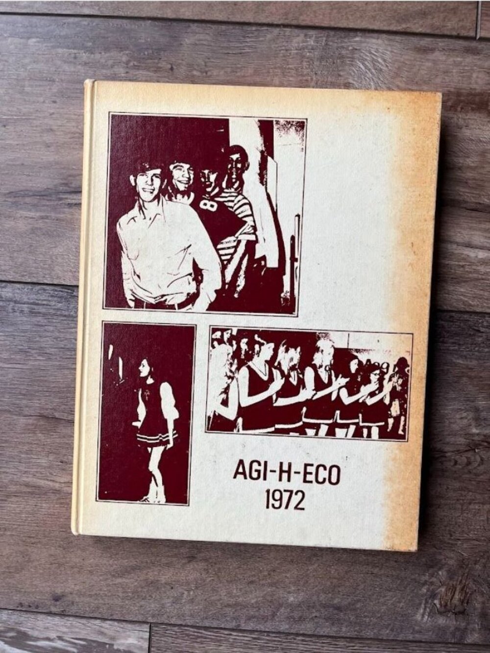 1972 Agi-H-Eco Yearbook Hamilton High School Hamilton, Alabama (AL) Annual